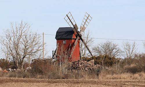 Foto: Stefan Svenaeus 2025