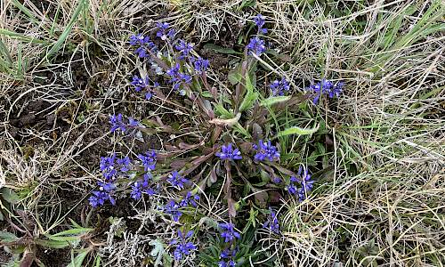 Foto: Stefan Svenaeus