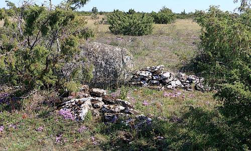 Foto: Stefan Svenaeus 2025