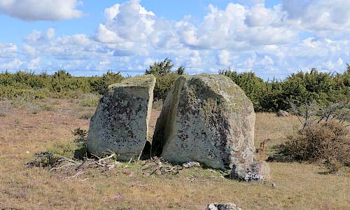 Foto: Stefan Svenaeus 2025
