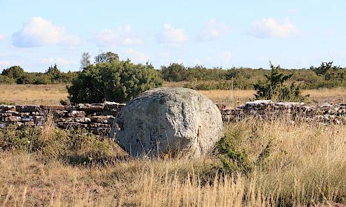 Foto: Stefan Svenaeus 2025