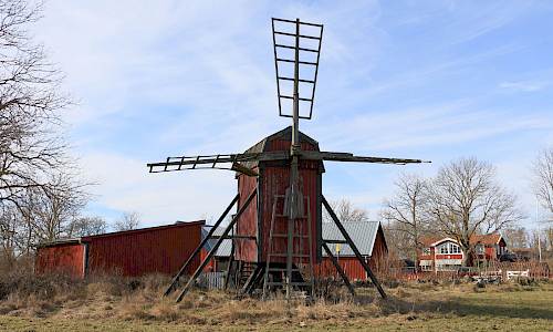 Foto: Stefan Svenaeus 2025