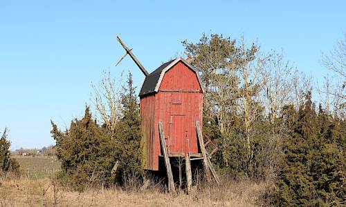 Foto: Stefan Svenaeus 2024